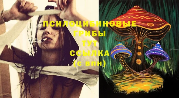 гидра Гусев