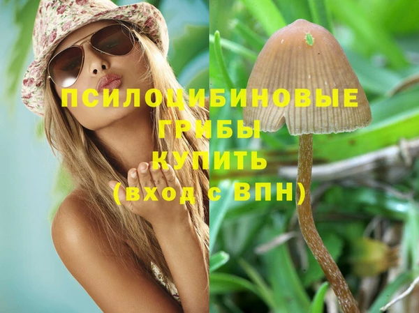 соль курить ск Горнозаводск