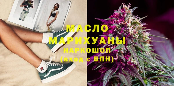гидра Гусев