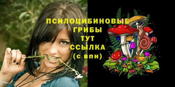 MESCALINE Горняк