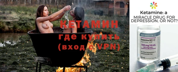 шишки Гусь-Хрустальный