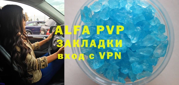 гидра Гусев