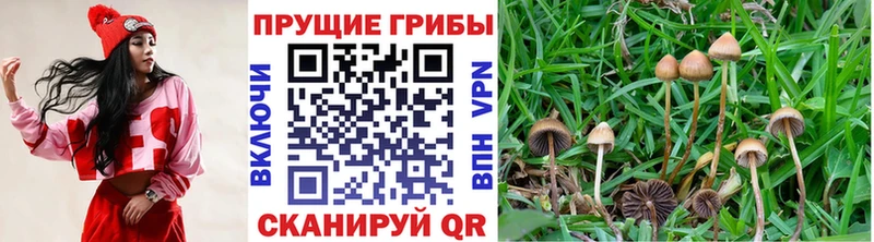 Псилоцибиновые грибы ЛСД  Купить где  Кремёнки 